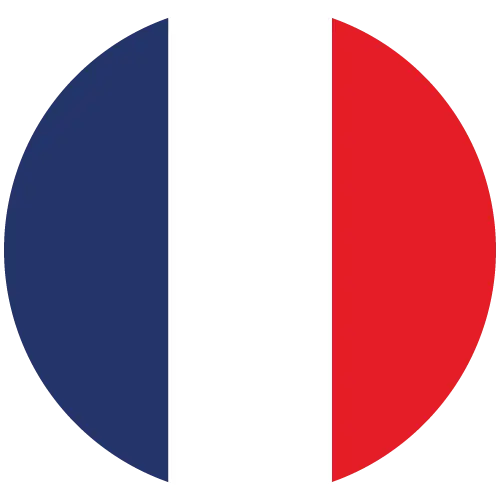 France Flag